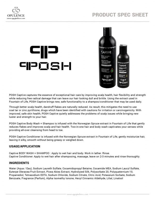 POSH CAPTIVE - Body Wash + Shampoo and Conditioner Set For Men - Image 2